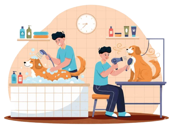 Gemini_Generated_Image_6309d36309d36309-compressed-removebg-preview