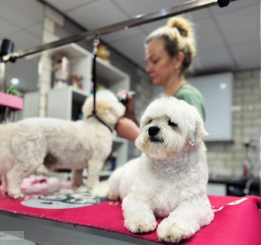 WhatsApp Image 2026-02-27 at 4.59.00 PM