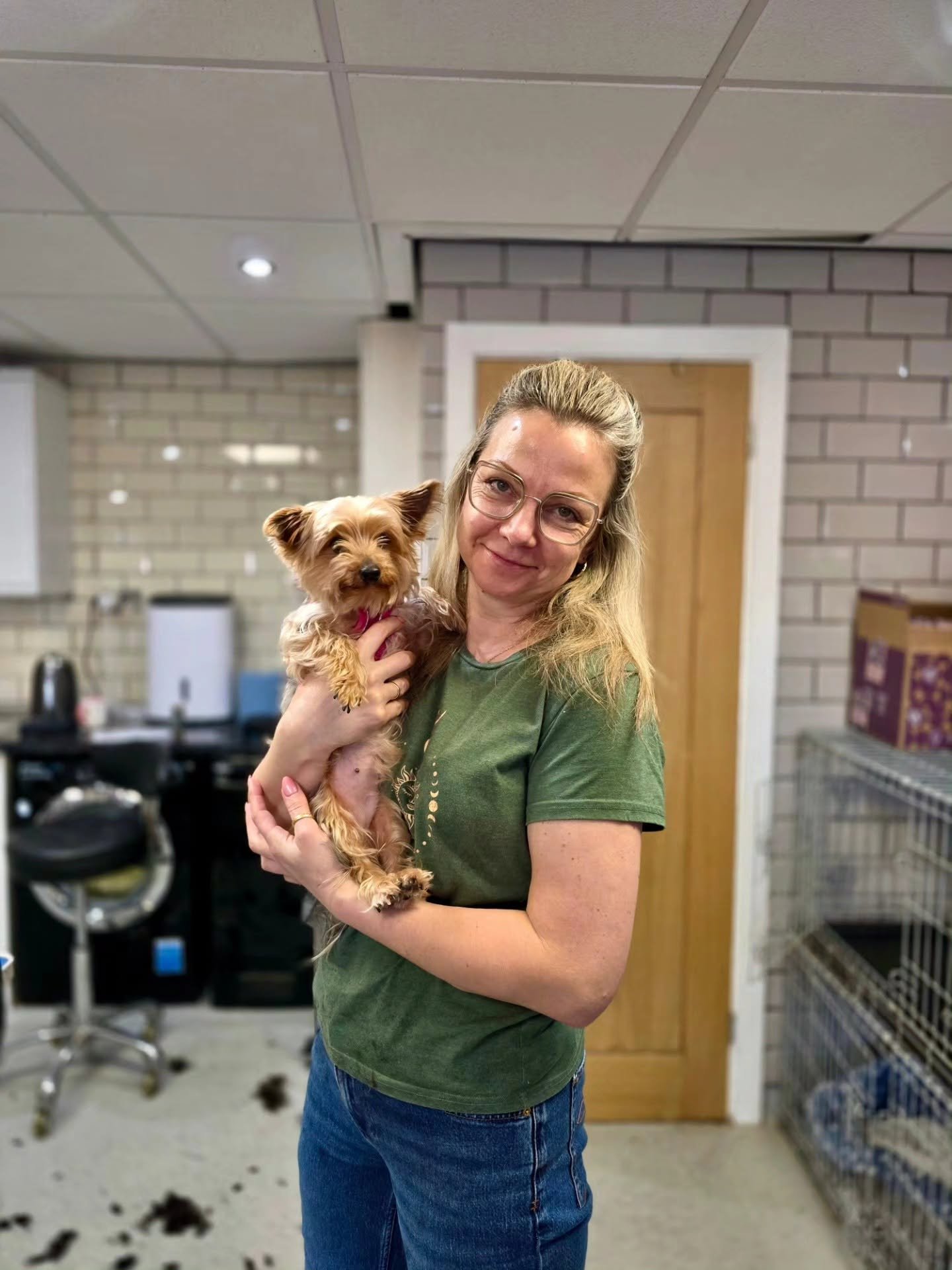 Kristine's KK dog grooming Milton Keynes